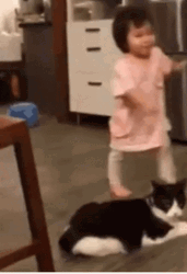 Cat Trip Baby Girl GIF