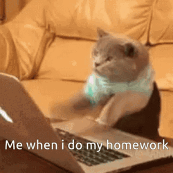 Cat Typing Fast Homework GIF