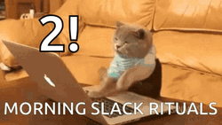 Cat Typing Morning Slacker Rituals GIF