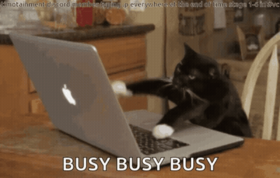 Cat Typing On Laptop Busy Busy Busy GIF