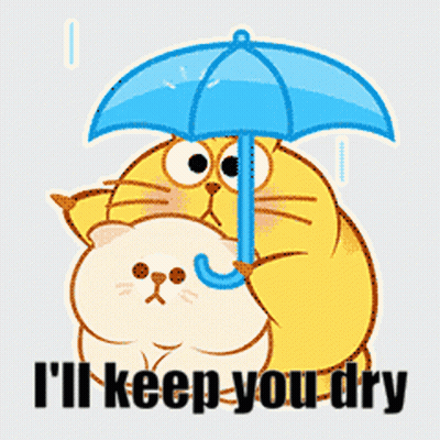 Cat Umbrella Another Cat I'll Keep You Dry GIF