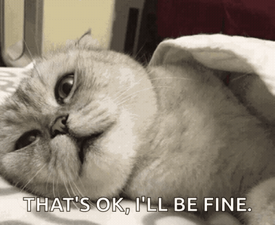 Cat Under Blanket Saying That's Ok I'll Be Fine GIF