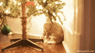 Cat Under Christmas Tree Alxbongala Tumblr GIF