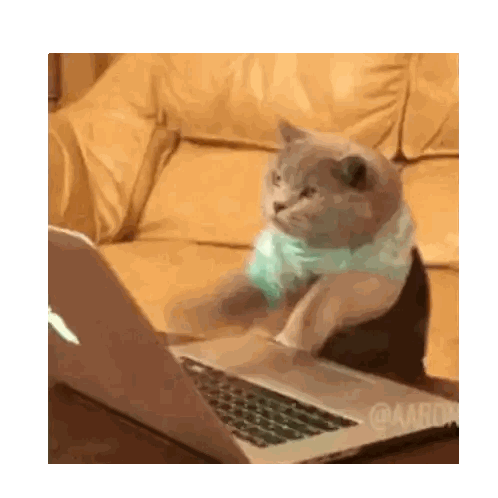 Cat Using Laptop Sticker