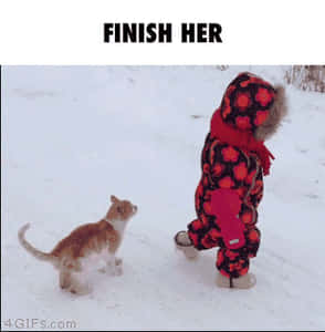 Cat Versus Baby Finish Him GIF