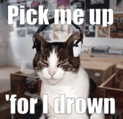 Cat Vibes Pick Me For I Drown GIF