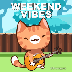 Cat Vibing Playing Guitar Weekend Vibes GIF