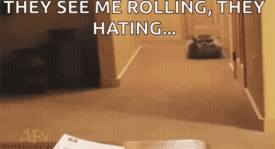 Cat Walking Down Hallway Saying They See Me Rolling They Hating GIF