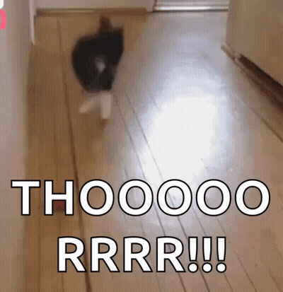 Cat Walking Down Hallway Saying Thooooo Rrr GIF