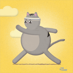 Cat Walking Exercise Jogging Headband GIF