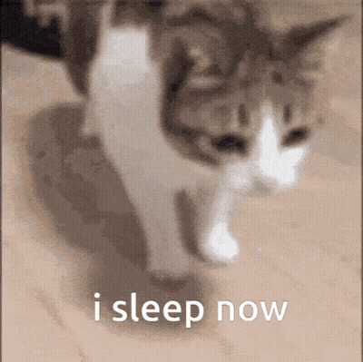 Cat Walking I Sleep Now GIF