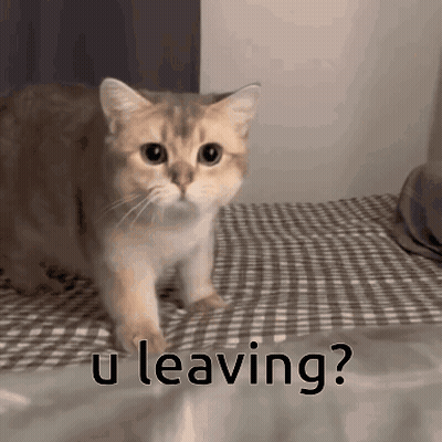 Cat Walking On Bed Saying U Leaving GIF