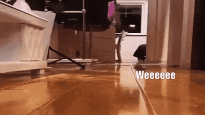 Cat Walking On Wooden Floor Saying Weeeee GIF