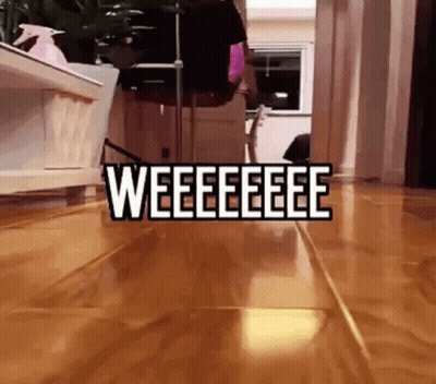Cat Walking On Wooden Floor Weee GIF