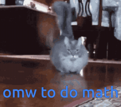 Cat Walking On Wooden Floor With Omw To Do Math GIF