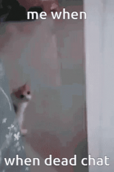 Cat Walking Saying Me When When Dead Chat GIF