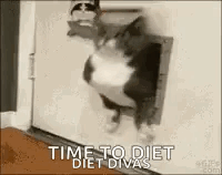 Cat Walking Through Cat Door GIF