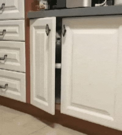 Cat Walking Through Kitchen Cabinet With Open Doors GIF
