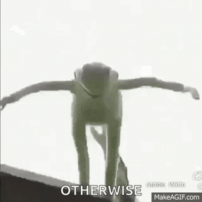 Cat Walking Through Living Room GIF