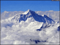 Cat Walking Through Snowy Mountains GIF