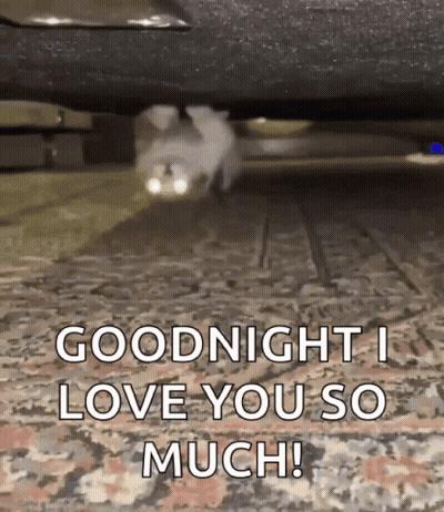Cat Walking Under Car Saying Goodnight I Love You GIF