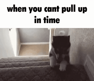 Cat Walking Up Stairs When You Cant Pull Up GIF
