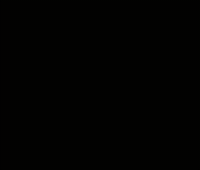 Cat Wallahi I'm Finished GIF