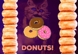 Cat Want To Eat Donuts GIF