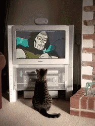 Cat Watching Mf Doom On TV GIF