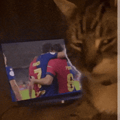 Cat Watching Soccer On TV GIF