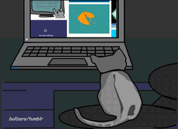 Cat Watching Tumblr Photos GIF