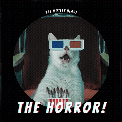 Cat Wearing 3D Glasses Eating Popcorn The Horror GIF