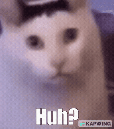 Cat Wearing Bow Tie Huh GIF