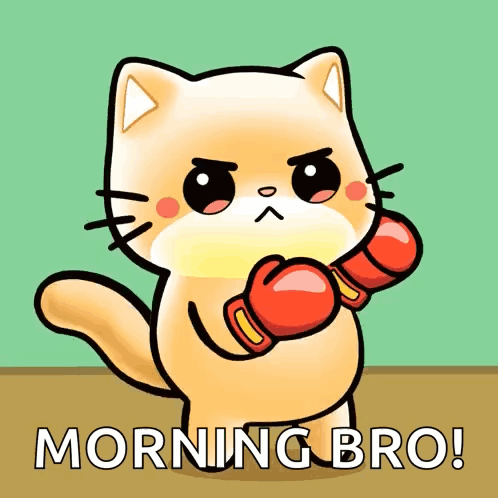 Cat Wearing Boxing Gloves With Morning Bro GIF