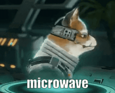 Cat Wearing Collar Saying Microwave GIF