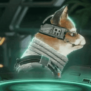 Cat Wearing Collar Saying RR GIF