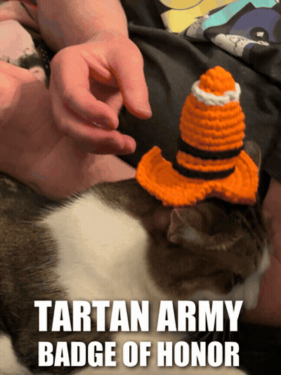 Cat Wearing Crocheted Hat Tartan Army Badge Of Honor GIF