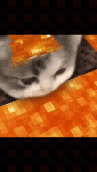 Cat Wearing Crown Close Up GIF
