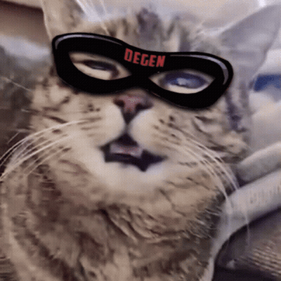 Cat Wearing Degen Mask GIF