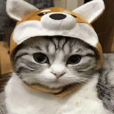 Cat Wearing Dog Head Hat GIF