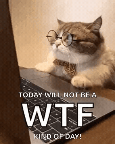 Cat Wearing Glasses And Bow Tie Typing GIF