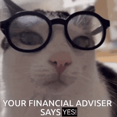 Cat Wearing Glasses Says Yes GIF