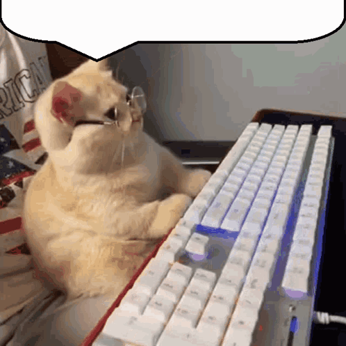 Cat Wearing Glasses Sitting In Front Of Keyboard GIF