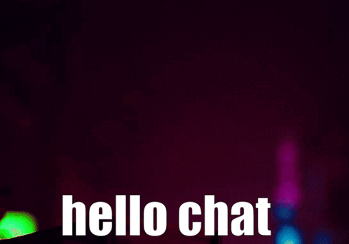 Cat Wearing Harness With Hello Chat GIF