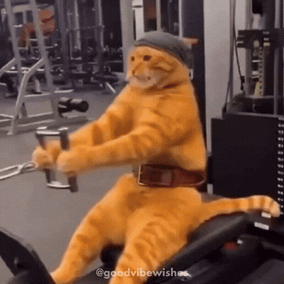 Cat Wearing Hat And Belt Riding Machine GIF