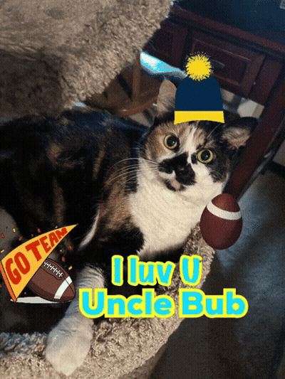 Cat Wearing Hat And Holding Football I Love U Uncle Bub GIF