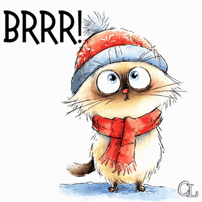 Cat Wearing Hat And Scarf Saying Brrr GIF