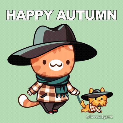 Cat Wearing Hat And Scarf Walking Cat On Leash GIF
