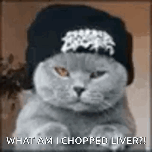 Cat Wearing Hat Asking What Am I Chopped Liver GIF