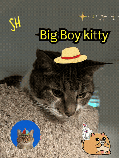 Cat Wearing Hat Big Boy Kitty GIF